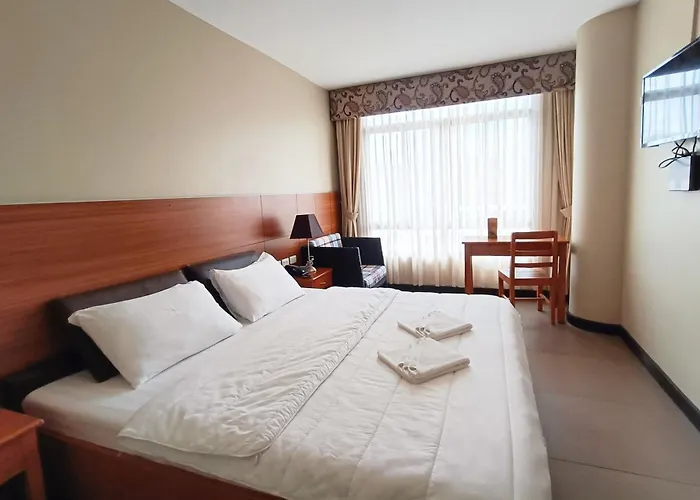 Hotel Fuente Oro Business 3*