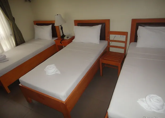 Hotel Fuente Oro Business 3*