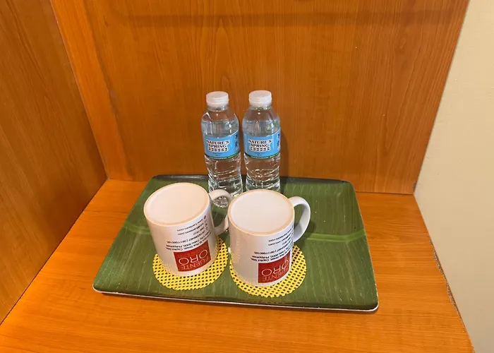 Hotel Fuente Oro Business